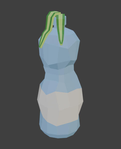 Water Bottle
