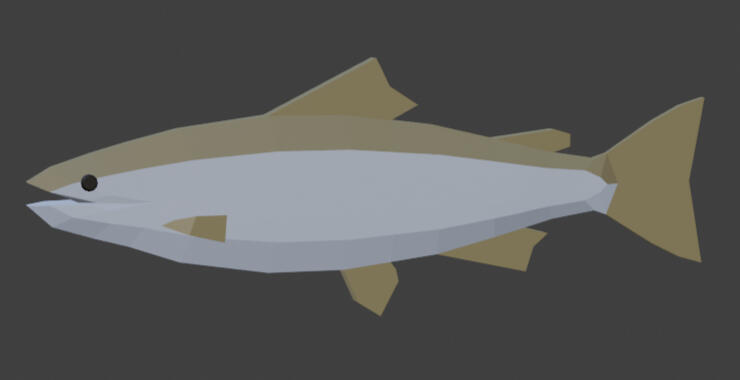 Salmon